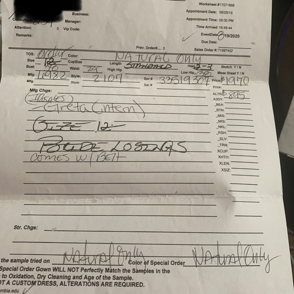 Mikeala wedding dress and belt - Picture 10 of 12